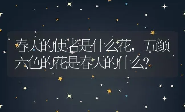 春天的使者是什么花,五颜六色的花是春天的什么？ | 养殖科普