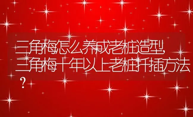 三角梅怎么养成老桩造型,三角梅十年以上老桩扦插方法？ | 养殖科普
