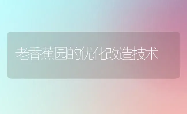 老香蕉园的优化改造技术 | 养殖技术大全