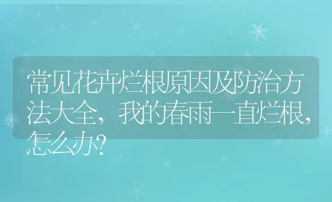 常见花卉烂根原因及防治方法大全,我的春雨一直烂根，怎么办？ | 养殖科普