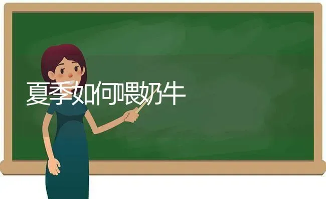 夏季如何喂奶牛 | 养殖技术大全