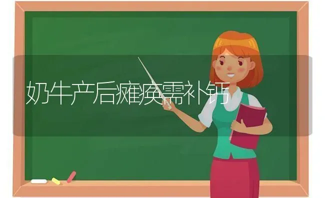 奶牛产后瘫痪需补钙 | 养殖知识