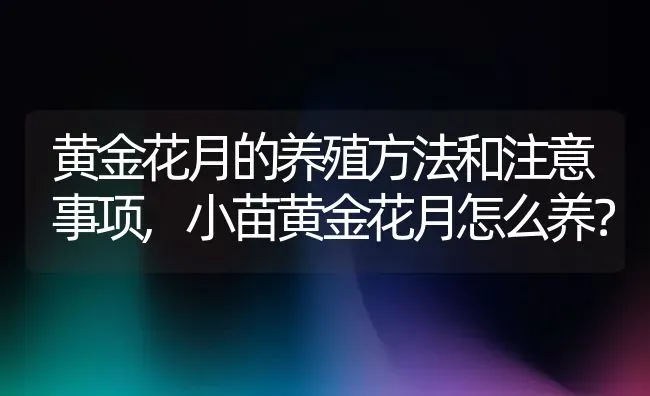 黄金花月的养殖方法和注意事项,小苗黄金花月怎么养？ | 养殖科普