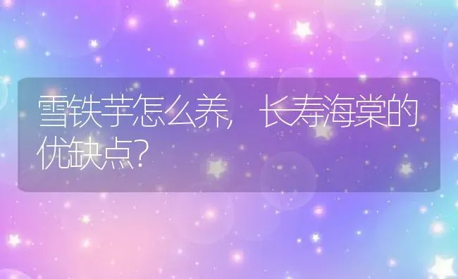 雪铁芋怎么养,长寿海棠的优缺点？ | 养殖科普