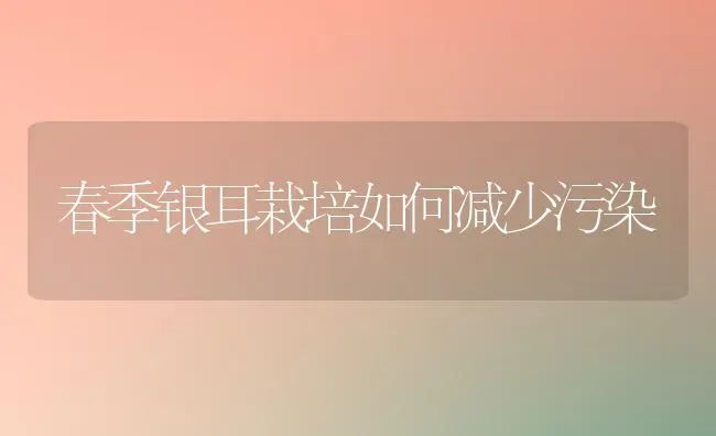 春季银耳栽培如何减少污染 | 养殖技术大全