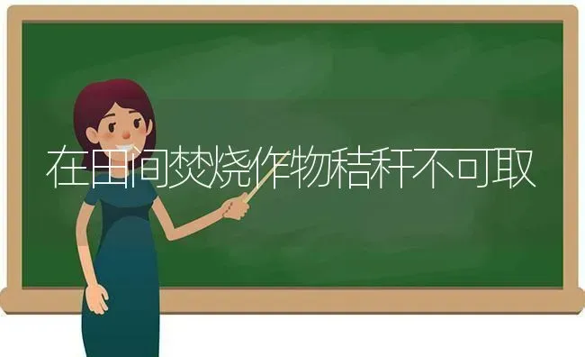 在田间焚烧作物秸秆不可取 | 养殖知识