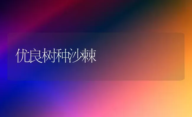 优良树种沙棘 | 养殖知识