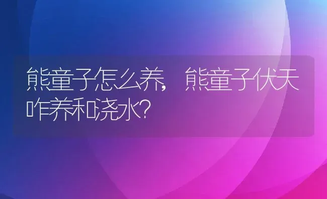 熊童子怎么养,熊童子伏天咋养和浇水？ | 养殖学堂