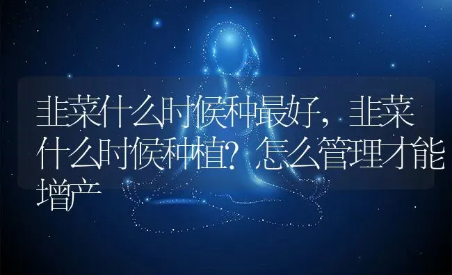 韭菜什么时候种最好,韭菜什么时候种植？怎么管理才能增产 | 养殖学堂