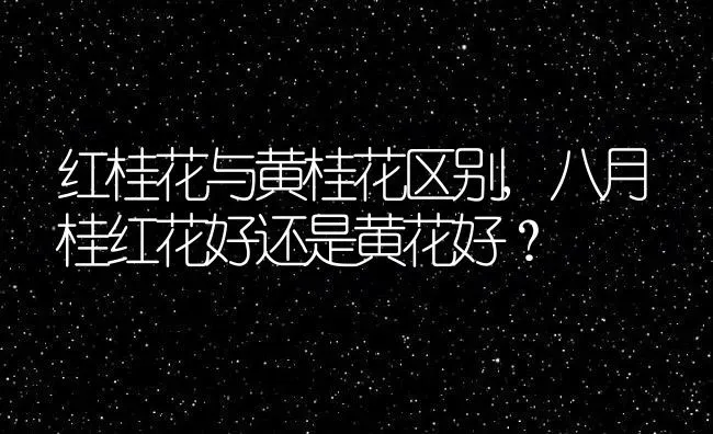 红桂花与黄桂花区别,八月桂红花好还是黄花好？ | 养殖科普