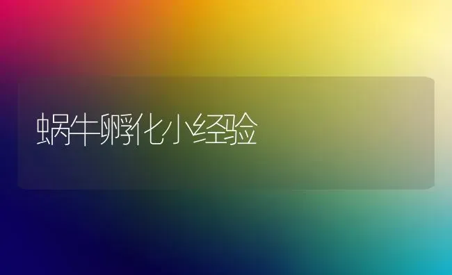 蜗牛孵化小经验 | 养殖技术大全