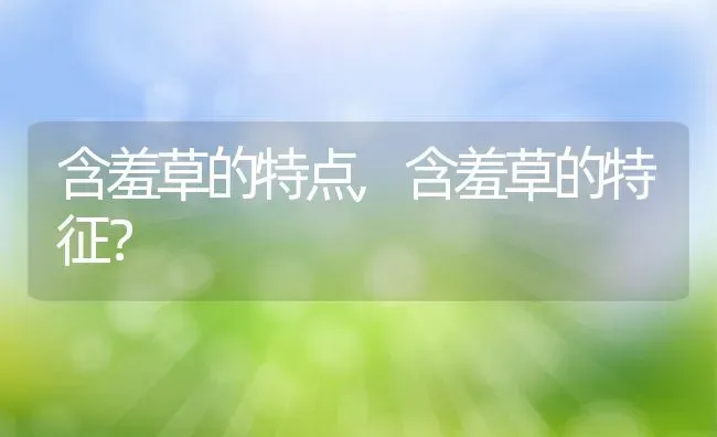 母狗会来大姨妈吗,狗狗月经流血一般几天 | 养殖资料
