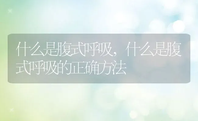 什么是腹式呼吸,什么是腹式呼吸的正确方法 | 养殖科普