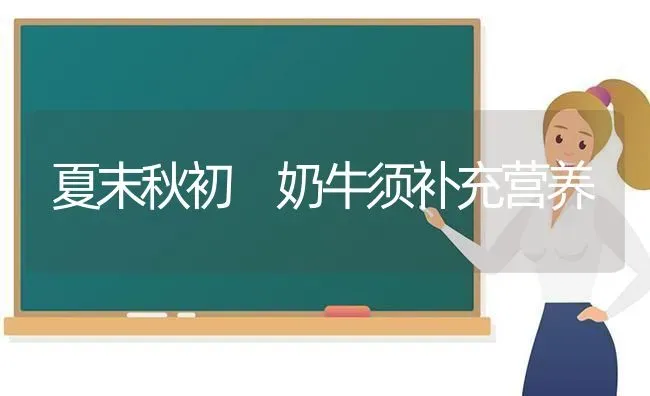 夏末秋初 奶牛须补充营养 | 养殖技术大全