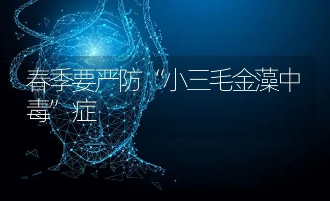 春季要严防“小三毛金藻中毒”症 | 养殖技术大全