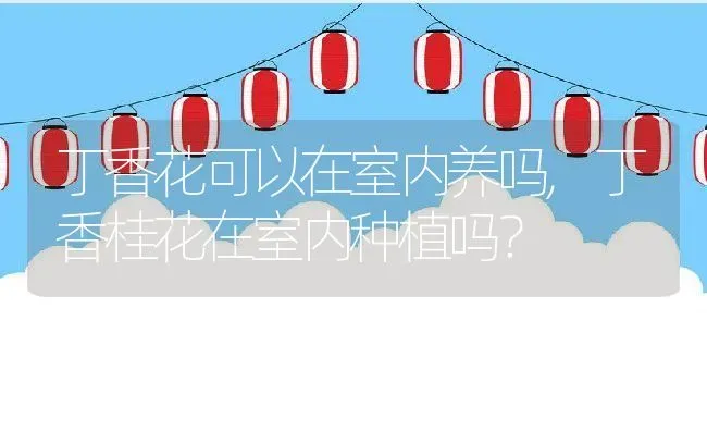 丁香花可以在室内养吗,丁香桂花在室内种植吗？ | 养殖学堂