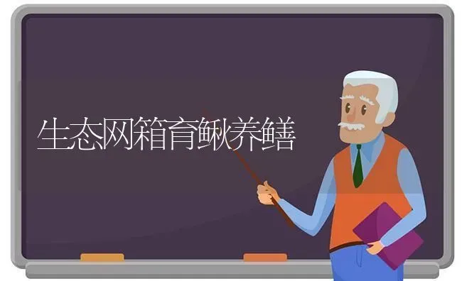 生态网箱育鳅养鳝 | 养殖技术大全