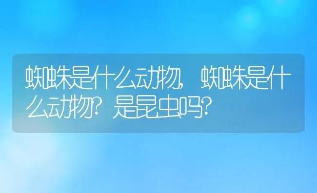 蜘蛛是什么动物,蜘蛛是什么动物?是昆虫吗? | 养殖资料