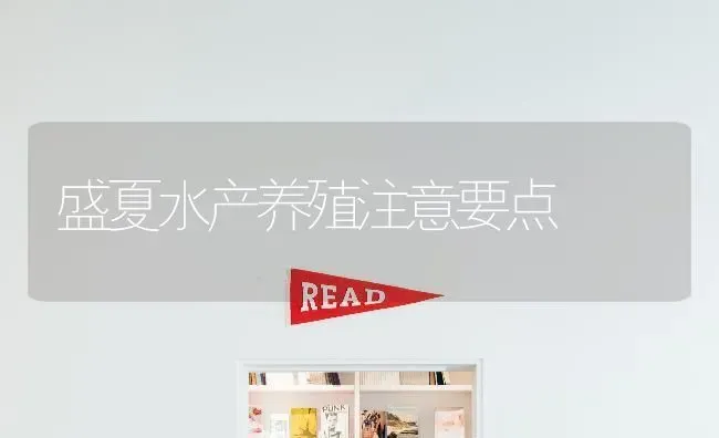盛夏水产养殖注意要点 | 养殖技术大全
