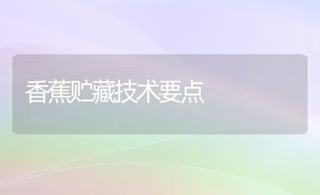 香蕉贮藏技术要点 | 养殖知识