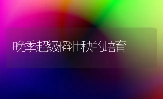 晚季超级稻壮秧的培育 | 养殖技术大全