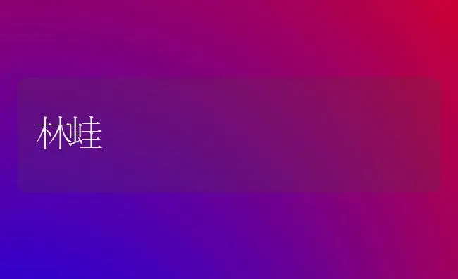林蛙 | 养殖技术大全