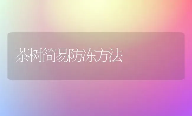 茶树简易防冻方法 | 养殖技术大全