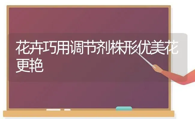 花卉巧用调节剂株形优美花更艳 | 养殖技术大全