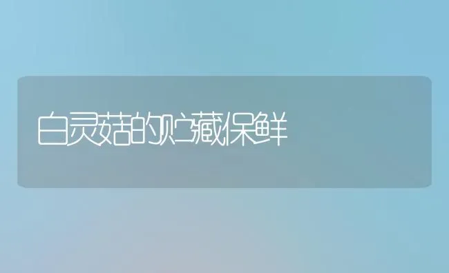 永兴冰糖橙 | 养殖知识