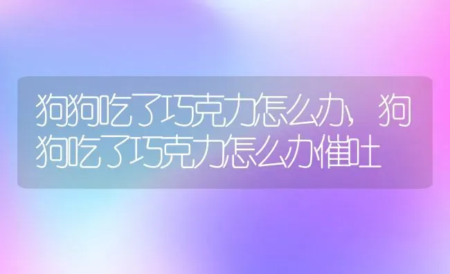 狗狗吃了巧克力怎么办,狗狗吃了巧克力怎么办催吐 | 养殖资料