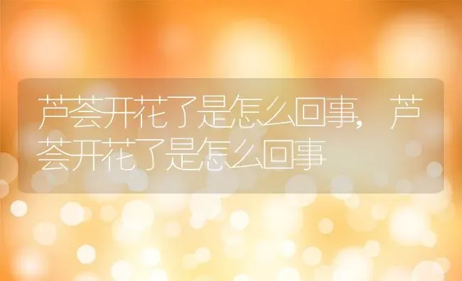 芦荟开花了是怎么回事,芦荟开花了是怎么回事 | 养殖科普