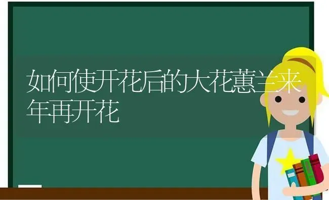 如何使开花后的大花蕙兰来年再开花 | 养殖知识