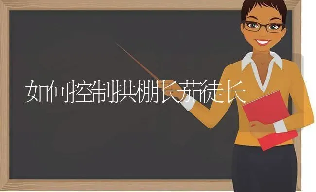 如何控制拱棚长茄徒长 | 养殖知识