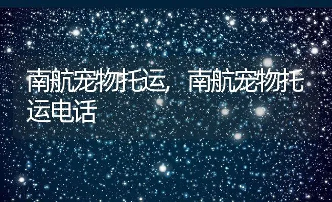 南航宠物托运,南航宠物托运电话 | 养殖资料