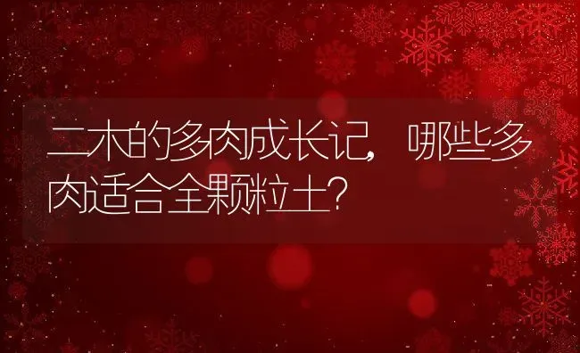 二木的多肉成长记,哪些多肉适合全颗粒土？ | 养殖科普