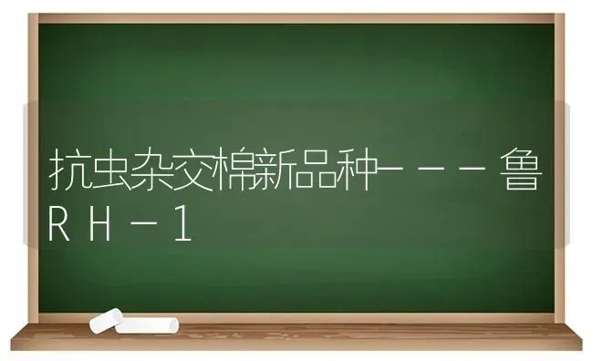 抗虫杂交棉新品种---鲁RH-1 | 养殖技术大全
