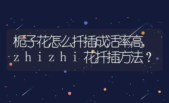 栀子花怎么扦插成活率高,zhizhi花扦插方法？ | 养殖学堂