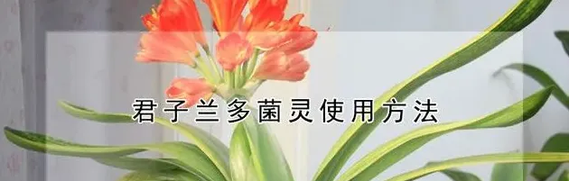 多菌灵如何给土壤消毒,多菌灵如何给土壤消毒？