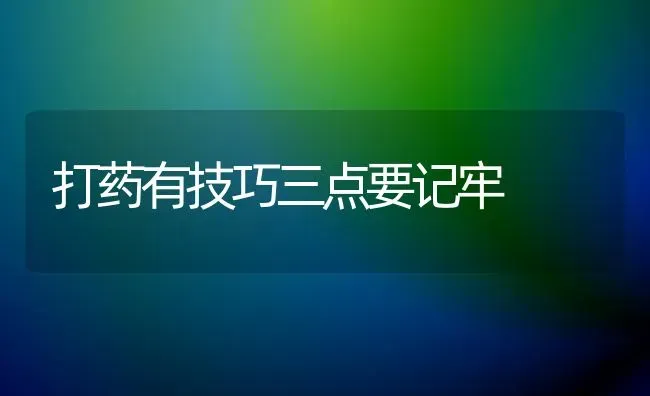 打药有技巧三点要记牢 | 养殖技术大全