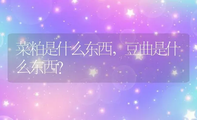 菜粕是什么东西,豆曲是什么东西？ | 养殖科普