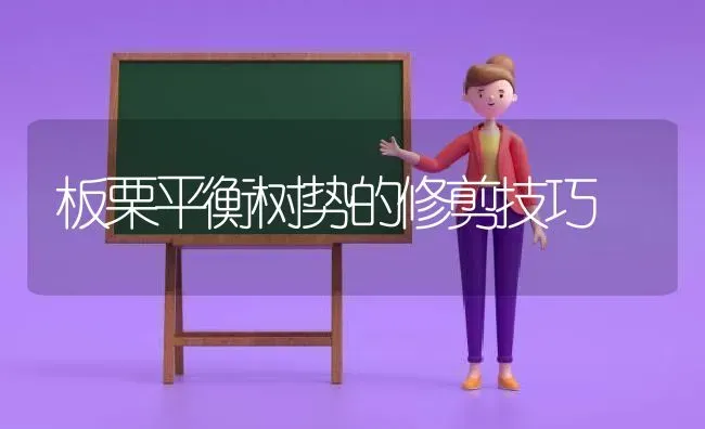 板栗平衡树势的修剪技巧 | 养殖知识