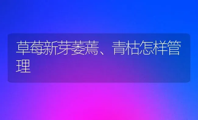 蟾酥的采收与加工技术 | 养殖技术大全