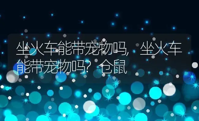 坐火车能带宠物吗,坐火车能带宠物吗?仓鼠 | 养殖资料