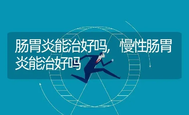 肠胃炎能治好吗,慢性肠胃炎能治好吗 | 养殖科普