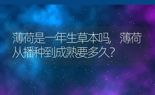 薄荷是一年生草本吗,薄荷从播种到成熟要多久？ | 养殖科普