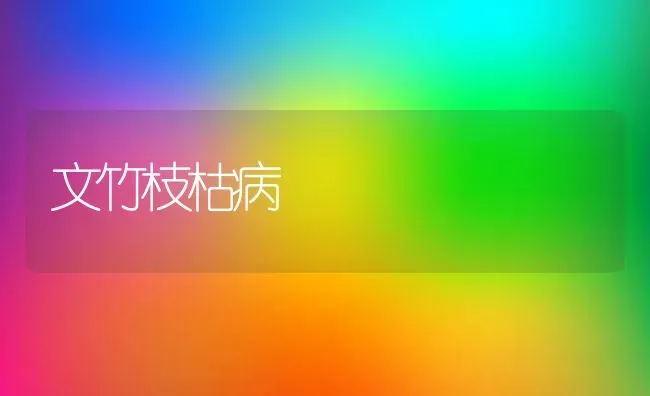 文竹枝枯病 | 养殖知识