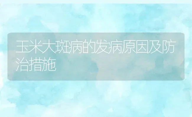 玉米大斑病的发病原因及防治措施 | 养殖学堂