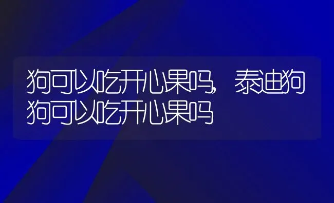 狗可以吃开心果吗,泰迪狗狗可以吃开心果吗 | 养殖科普