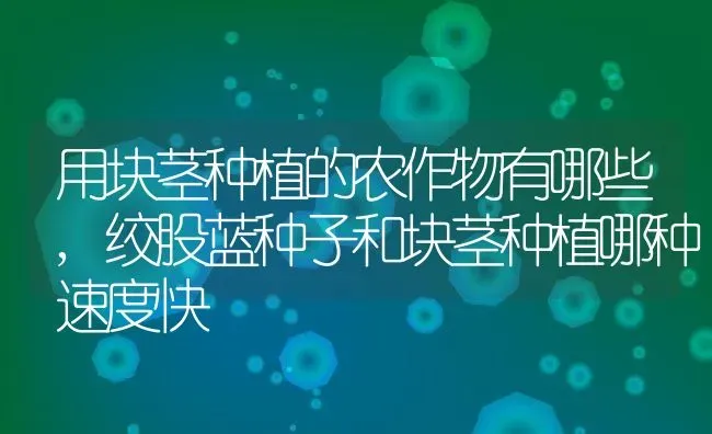 用块茎种植的农作物有哪些,绞股蓝种子和块茎种植哪种速度快 | 养殖学堂