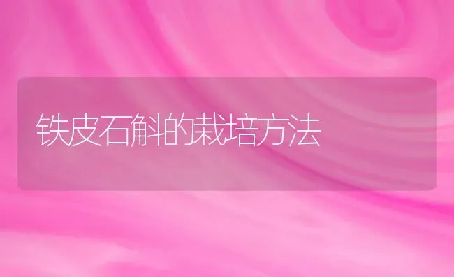 铁皮石斛的栽培方法 | 养殖技术大全